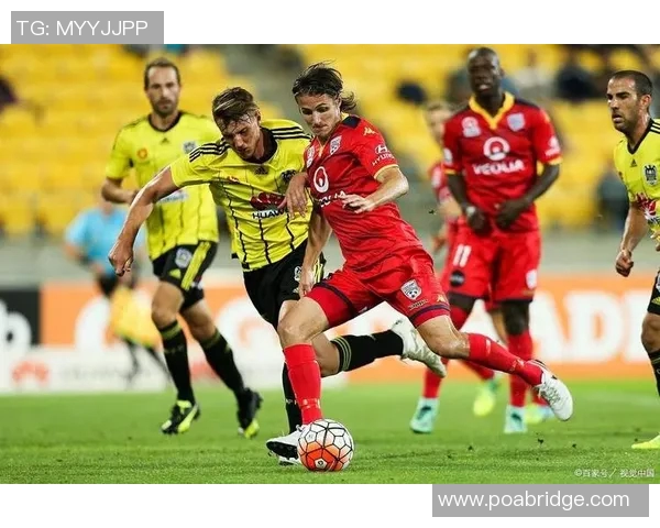 惠灵顿与布里斯班12的精彩对决分析及赛季展望