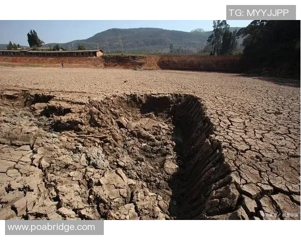 河床与克塞的对比分析探讨两者在生态与经济发展中的作用与影响