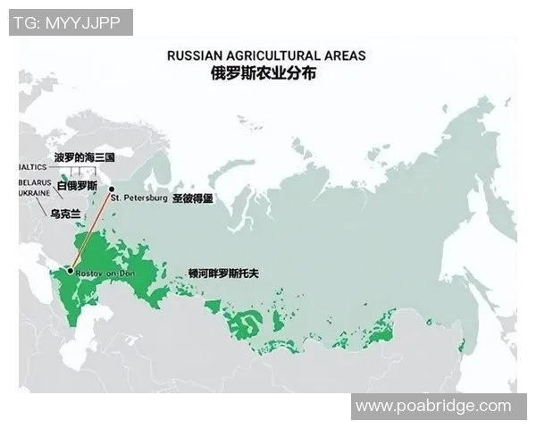 沙特与俄罗斯足球直播精彩对决全程回顾与分析